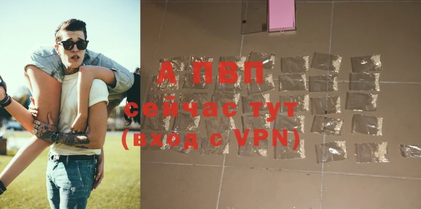 спиды Вяземский