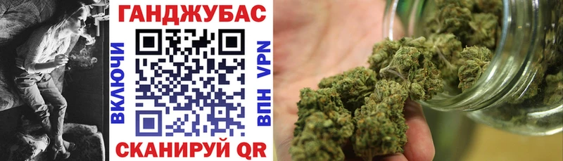 Купить где  Шагонар  Канабис сатива 